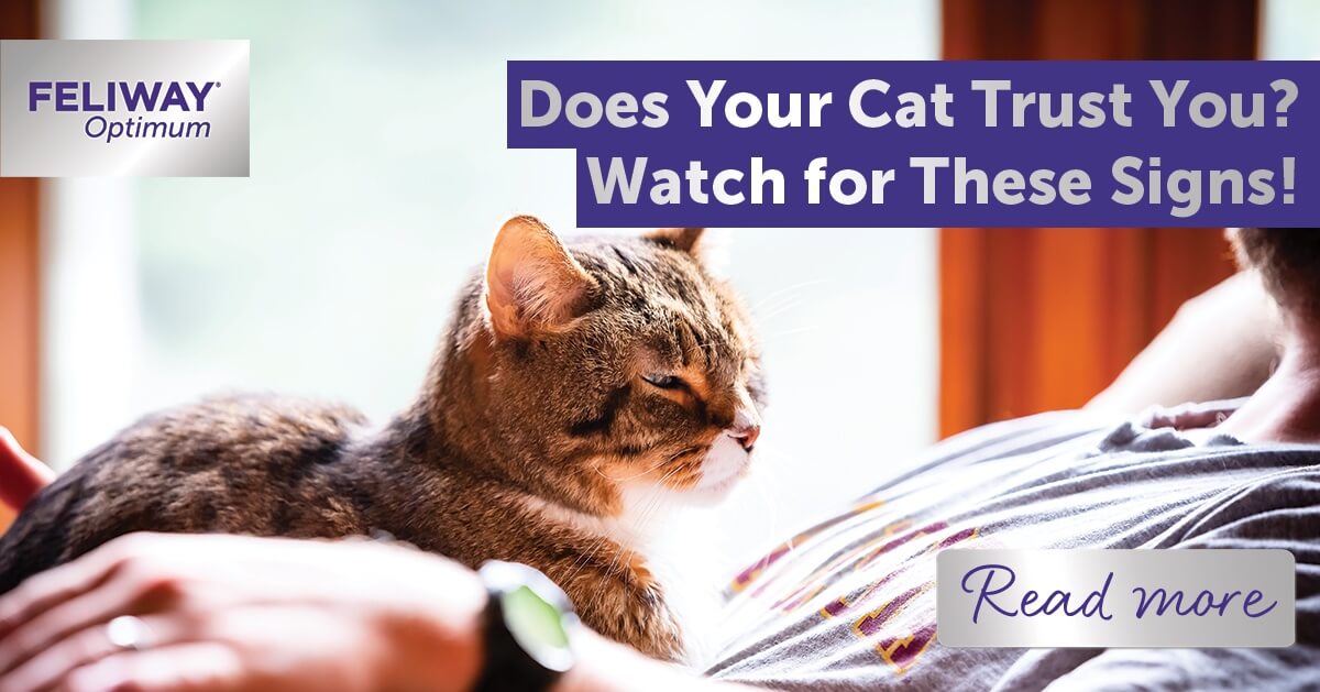 does your cat trust you