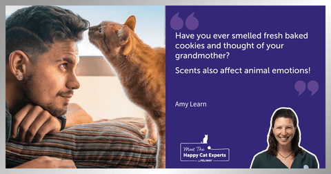 Senses of our Cats: Part 2 โ Olfaction (sense of smell)