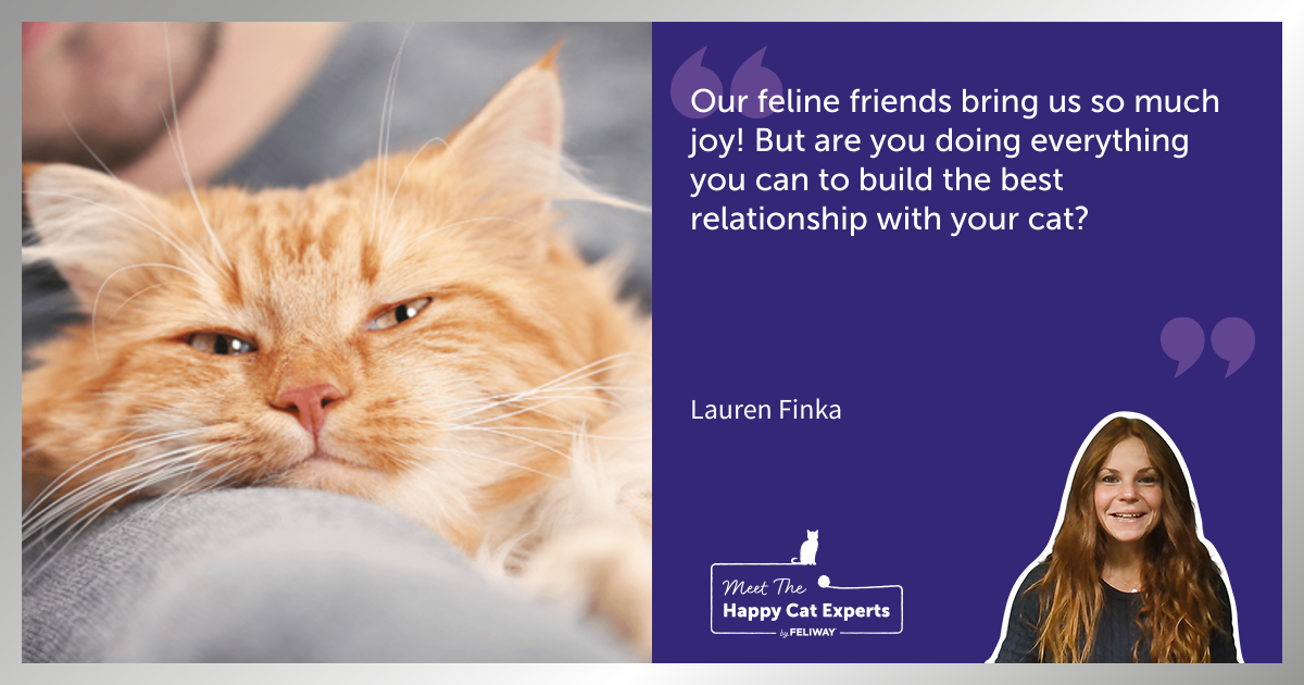 How to Have the Best Relationship With Your Cat