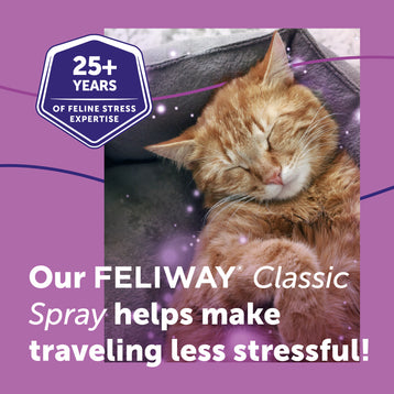 FELIWAY® Classic Spray