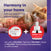 FELIWAY® Multicat Refill