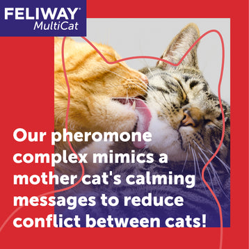 FELIWAY® Multicat Diffuser Kit