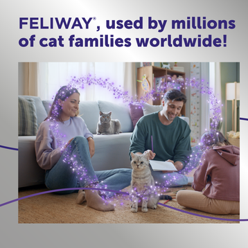 FELIWAY® Optimum Refill