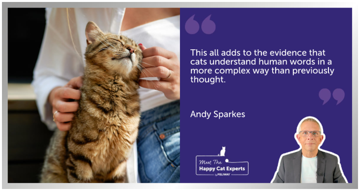 Cat sitting next to a woman on a bench while being stroked.