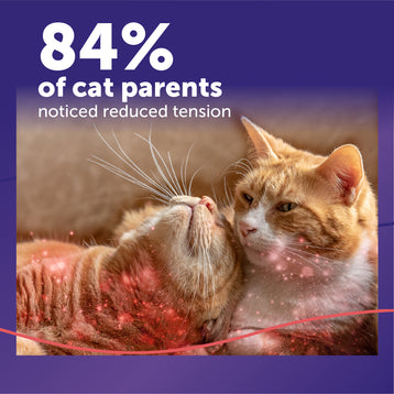 FELIWAY® Multicat Diffuser Kit