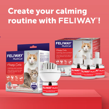 FELIWAY® Multicat Diffuser Kit
