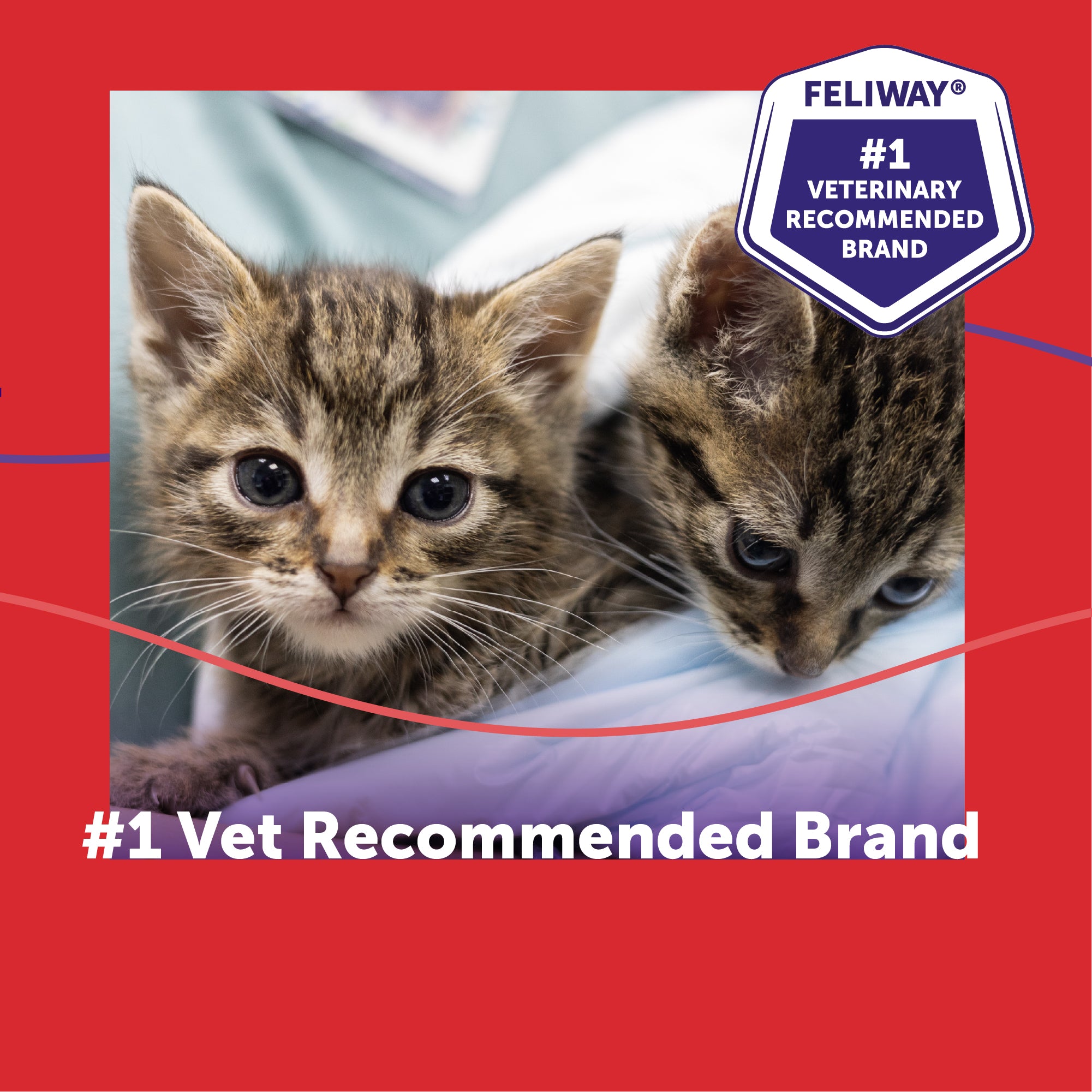 FELIWAY® Multicat Diffuser Kit