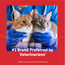 FELIWAY® Multicat Diffuser Kit