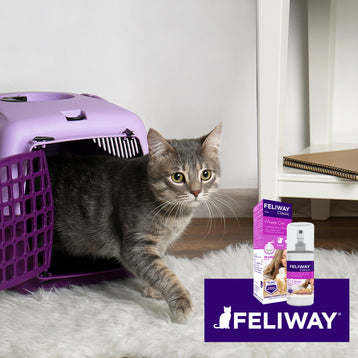 FELIWAY® Classic Spray